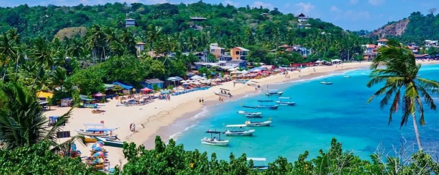 Nexus Lanka Tours Packages