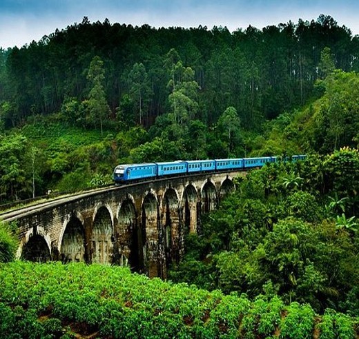 Nexus Lanka Tours Packages