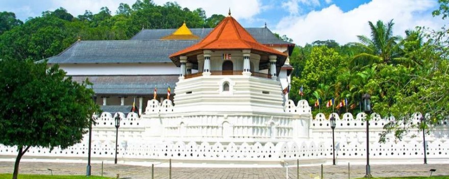 Nexus Lanka Tours Packages