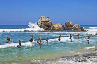 Nexus Lanka Tours Packages