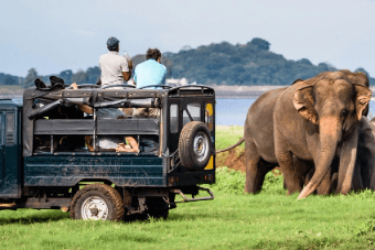 Nexus Lanka Tours Packages