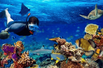 Nexus Lanka Tours Packages