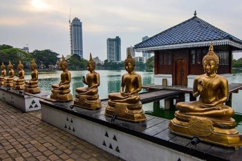 Nexus Lanka Tours Packages